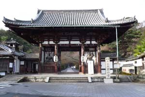 �ΎR���R��